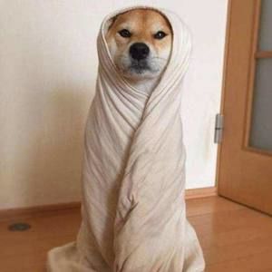 Meet your Posher, Nan